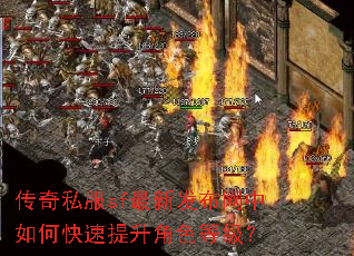 传奇私服sf最新发布网中如何快速提升角色等级? 传奇私服sf最新发布网中如何快速提升角色等级?