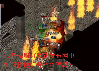 传奇私服sf最新发布网中如何快速提升角色等级? 传奇私服sf最新发布网中如何快速提升角色等级?