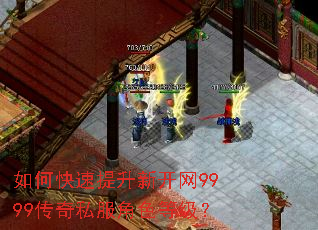 如何快速提升新开网9999传奇私服角色等级? 如何快速提升新开网9999传奇私服角色等级?