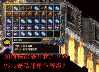 如何快速提升新开网9999传奇私服角色等级? 如何快速提升新开网9999传奇私服角色等级?