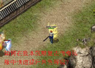 如何在我本沉默复古传奇私服中快速提升角色等级? 如何在我本沉默复古传奇私服中快速提升角色等级?