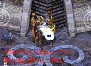 如何在我本沉默复古传奇私服中快速提升角色等级? 如何在我本沉默复古传奇私服中快速提升角色等级?
