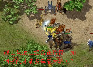 战士与道士组合在传奇中如何搭配才能发挥最大战力? 战士与道士组合在传奇中如何搭配才能发挥最大战力?