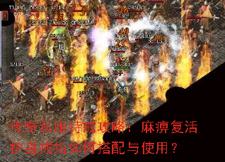 传奇私服特戒攻略:麻痹复活护身戒指如何搭配与使用? 传奇私服特戒攻略:麻痹复活护身戒指如何搭配与使用?