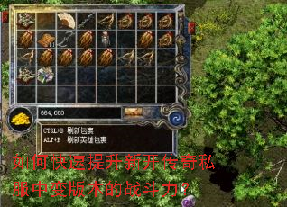 如何快速提升新开传奇私服中变版本的战斗力? 如何快速提升新开传奇私服中变版本的战斗力?
