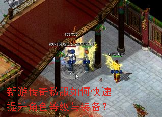 新游传奇私服如何快速提升角色等级与装备? 新游传奇私服如何快速提升角色等级与装备?