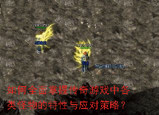 如何全面掌握传奇游戏中各类怪物的特性与应对策略? 如何全面掌握传奇游戏中各类怪物的特性与应对策略?