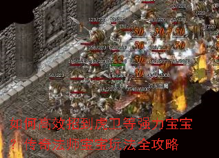 如何高效招到虎卫等强力宝宝?传奇法师宝宝玩法全攻略 如何高效招到虎卫等强力宝宝?传奇法师宝宝玩法全攻略
