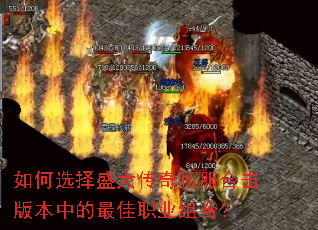 ���ѡ��ʢ����˽���ϻ��汾�е����ְҵ��ϣ�