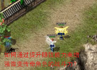 如何通过提升赚钱能力来增强微变传奇角色的战斗力? 如何通过提升赚钱能力来增强微变传奇角色的战斗力?