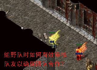 ��Ұ��ʱ�����Ч��˶�����ȷ���ŶӺ�����