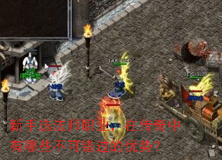新手选法师职业,在传奇中有哪些不可错过的优势? 新手选法师职业,在传奇中有哪些不可错过的优势?