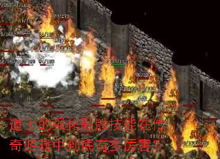 ��ʿ��ǿ�����ü����ڴ�����Ϸ�е����ж�������