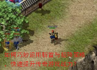 如何巧妙运用斩首与招降策略,快速提升传奇游戏战力? 如何巧妙运用斩首与招降策略,快速提升传奇游戏战力?