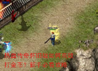 ��Ѫ���滳�ɰ���θ�Ч���ң����ֱؿ�����