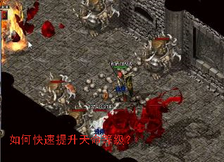 如何快速提升天命等级? 如何快速提升天命等级?