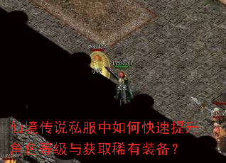仙境传说私服中如何快速提升角色等级与获取稀有装备? 仙境传说私服中如何快速提升角色等级与获取稀有装备?