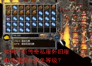 如何在新传奇私服怀旧服中快速提升角色等级? 如何在新传奇私服怀旧服中快速提升角色等级?