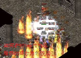 如何在901my传奇私服快速提升角色等级? 如何在901my传奇私服快速提升角色等级?