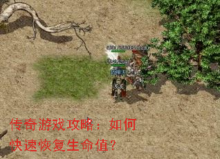 传奇游戏攻略:如何快速恢复生命值? 传奇游戏攻略:如何快速恢复生命值?