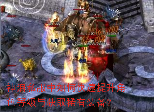 神泪私服中如何快速提升角色等级与获取稀有装备? 神泪私服中如何快速提升角色等级与获取稀有装备?