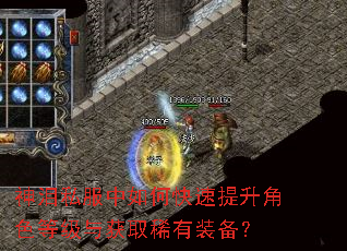 神泪私服中如何快速提升角色等级与获取稀有装备? 神泪私服中如何快速提升角色等级与获取稀有装备?