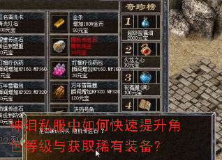 神泪私服中如何快速提升角色等级与获取稀有装备? 神泪私服中如何快速提升角色等级与获取稀有装备?