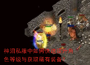 神泪私服中如何快速提升角色等级与获取稀有装备? 神泪私服中如何快速提升角色等级与获取稀有装备?