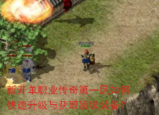 新开单职业传奇第一区如何快速升级与获取顶级装备? 新开单职业传奇第一区如何快速升级与获取顶级装备?