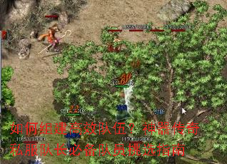 如何组建高效队伍?神器传奇私服队长必备队员挑选指南 如何组建高效队伍?神器传奇私服队长必备队员挑选指南