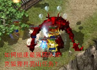 如何组建最强团队攻克狐狸月亮山任务? 如何组建最强团队攻克狐狸月亮山任务?