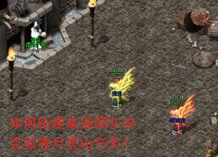 如何组建最强团队攻克狐狸月亮山任务? 如何组建最强团队攻克狐狸月亮山任务?