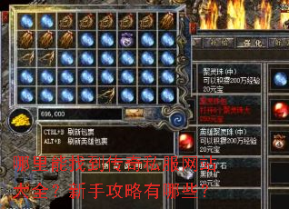 哪里能找到传奇私服网站大全?新手攻略有哪些? 哪里能找到传奇私服网站大全?新手攻略有哪些?