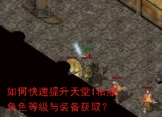 如何快速提升天堂1私服角色等级与装备获取? 如何快速提升天堂1私服角色等级与装备获取?