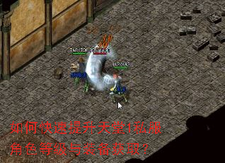如何快速提升天堂1私服角色等级与装备获取? 如何快速提升天堂1私服角色等级与装备获取?
