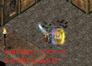 如何快速提升天堂1私服角色等级与装备获取? 如何快速提升天堂1私服角色等级与装备获取?