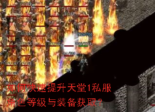 如何快速提升天堂1私服角色等级与装备获取? 如何快速提升天堂1私服角色等级与装备获取?