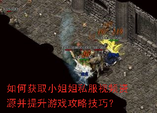 如何获取小姐姐私服视频资源并提升游戏攻略技巧? 如何获取小姐姐私服视频资源并提升游戏攻略技巧?