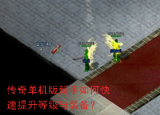 传奇单机版新手如何快速提升等级与装备? 传奇单机版新手如何快速提升等级与装备?