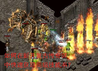 如何在新开复古传奇SF中快速获取高级技能书? 如何在新开复古传奇SF中快速获取高级技能书?