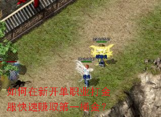 如何在新开单职业打金服快速赚取第一桶金? 如何在新开单职业打金服快速赚取第一桶金?