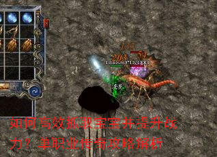 如何高效抓取宝宝并提升战力?单职业传奇攻略解析 如何高效抓取宝宝并提升战力?单职业传奇攻略解析