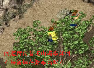 问道传奇普陀山爆率如何?装备掉落概率高吗? 问道传奇普陀山爆率如何?装备掉落概率高吗?
