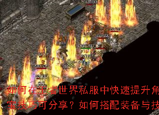 如何在王者世界私服中快速提升角色等级?有哪些高效打宝技巧可分享?如何搭配装备与技能以称霸传奇战场? 如何在王者世界私服中快速提升角色等级?有哪些高效打宝技巧可分享?如何搭配装备与技能以称霸传奇战场?