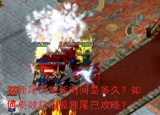 狐狸尾巴刷新时间是多久?如何高效获取狐狸尾巴攻略? 狐狸尾巴刷新时间是多久?如何高效获取狐狸尾巴攻略?