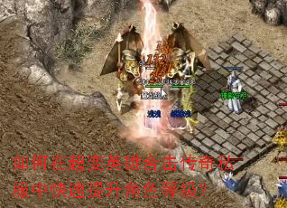 ����ڳ���Ӣ�ۺϻ�����˽���п���������ɫ�ȼ���