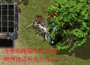 传奇私服国际版2中如何快速提升角色等级? 传奇私服国际版2中如何快速提升角色等级?