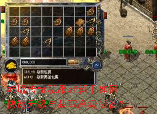 韩版传奇私服sf新手如何快速升级与获取高级装备? 韩版传奇私服sf新手如何快速升级与获取高级装备?