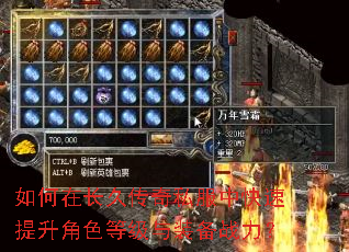 如何在长久传奇私服中快速提升角色等级与装备战力? 如何在长久传奇私服中快速提升角色等级与装备战力?