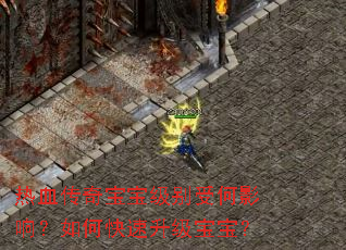 热血传奇宝宝级别受何影响?如何快速升级宝宝? 热血传奇宝宝级别受何影响?如何快速升级宝宝?